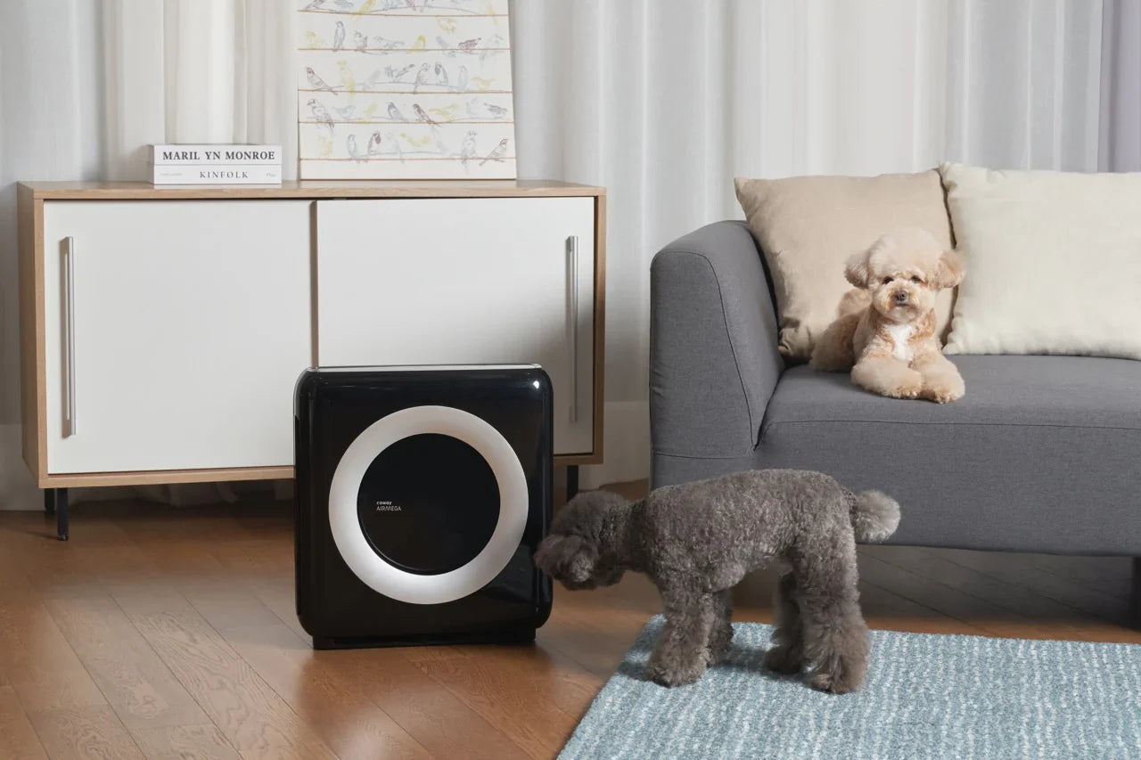 Fur Flying Everywhere? The Best Air Purifiers for Pet Owners – Coway ...