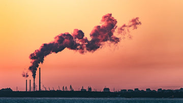 Is there a link between air pollution and male infertility?