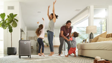 5 no-brainer upgrades to make in the New Year for better air, water and health