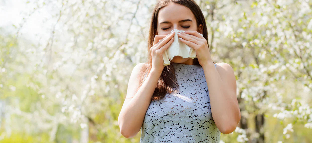 How To Help Spring Allergies With An Air Purifier – Coway Australia