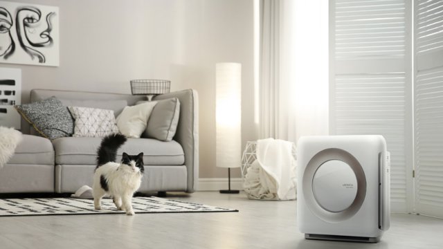 Healthy Business Tips: Kitty Cantina in Spokane, Washington