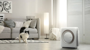 Healthy Business Tips: Kitty Cantina in Spokane, Washington