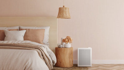 The best air purifier for a bedroom: Coway Mighty (AP-1512HH) and Airmega 150