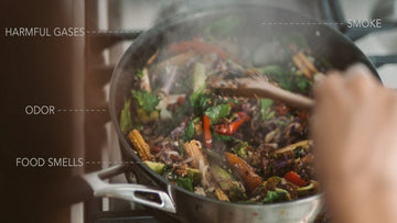 Gas stoves contribute to hazardous indoor air quality