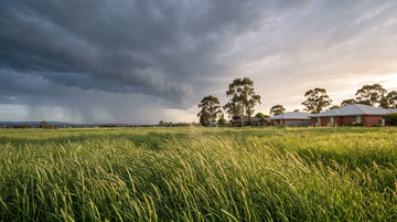 Image of storm clouds over a grassy field in an Australian suburb