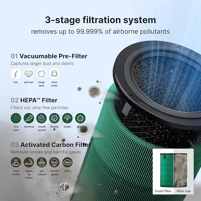Airmega 350 Filter