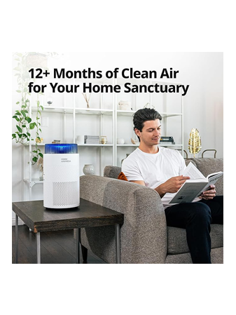 Airmega 100 Filter Set