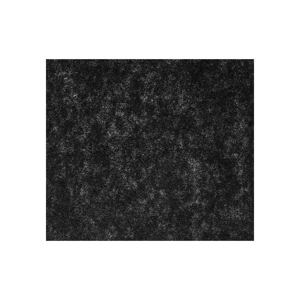 Airmega Mighty / 200M Filter Set